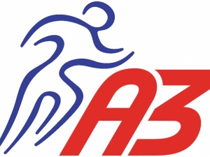Sektion A3-